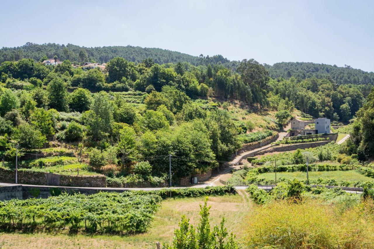 Melgaco Alvarinho Houses Экстерьер фото