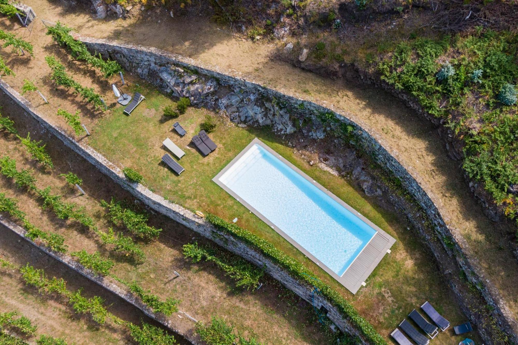 Melgaco Alvarinho Houses Экстерьер фото